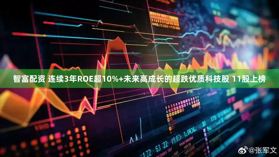 智富配资 连续3年ROE超10%+未来高成长的超跌优质科技股 11股上榜