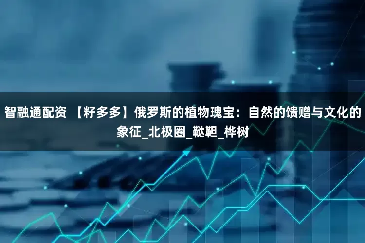 智融通配资 【籽多多】俄罗斯的植物瑰宝：自然的馈赠与文化的象征_北极圈_鞑靼_桦树